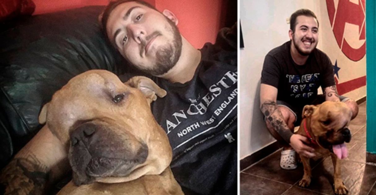 Jovem adota cachorro com câncer para dar a ele um lar em seus últimos dias