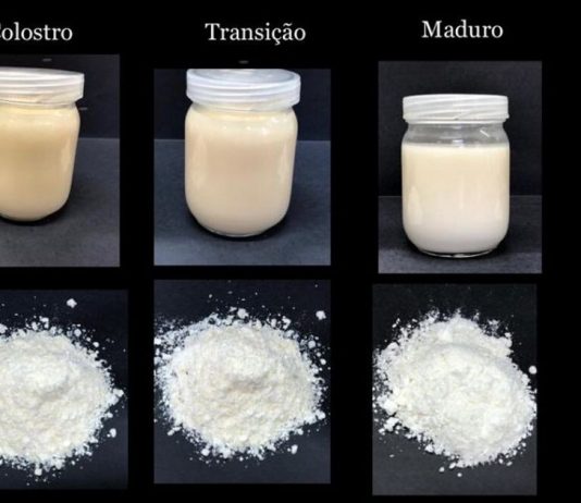 Pesquisadores brasileiros transformam leite materno em pó sem perder nutrientes