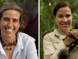 pesquisadoras brasileiras vencem maior prêmio conservação ambiental planeta