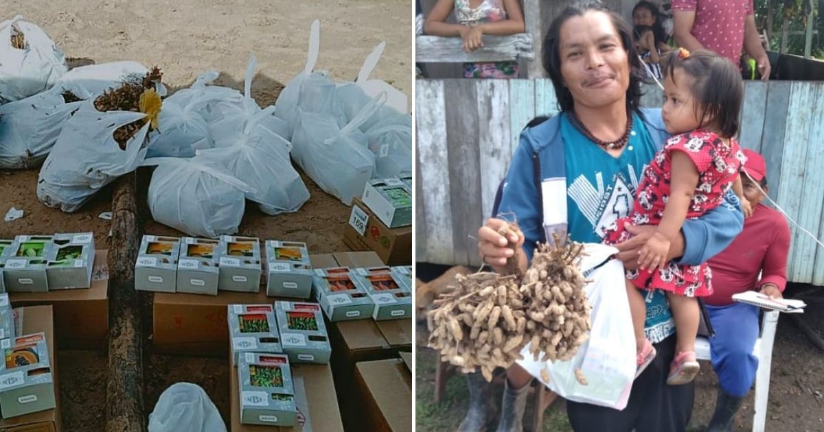 VOAA e Instituto Alok entregam 1,4 toneladas de sementes para aldeias indígenas recuperarem plantações no Acre
