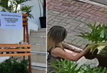 mulher furta muda de planta no jardim de loja
