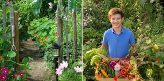 Adolescente apaixonado por plantar cria oásis de alimentos orgânicos de 15m²