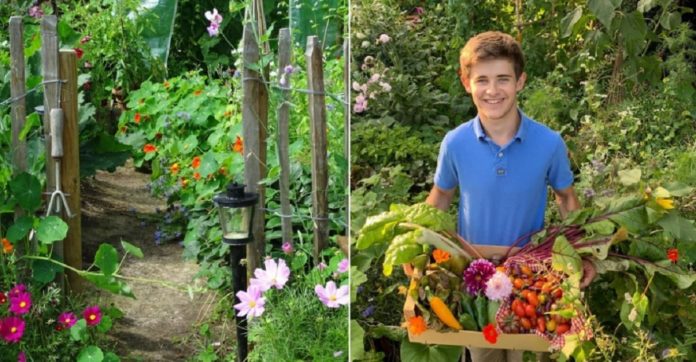 Adolescente apaixonado por plantar cria oásis de alimentos orgânicos de 15m²