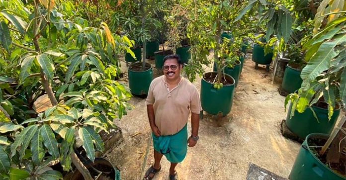 Indiano cria pomar com 135 árvores frutíferas em tambores de plástico no quintal de sua casa