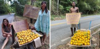 Fazenda no interior de Minas oferece laranjas docinhas de graça para motoristas que passam por estrada