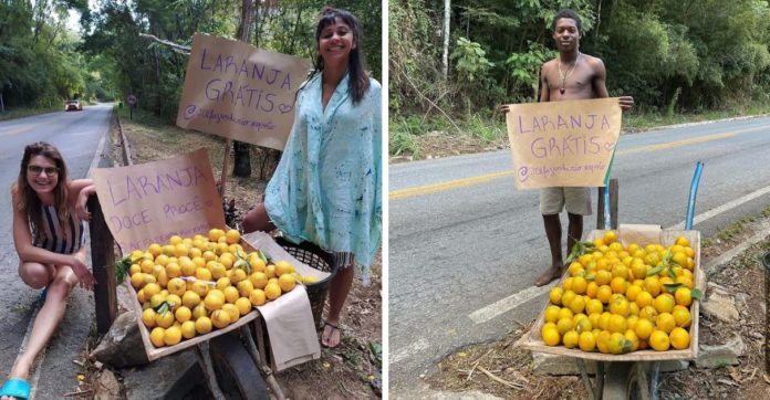 Fazenda no interior de Minas oferece laranjas docinhas de graça para motoristas que passam por estrada