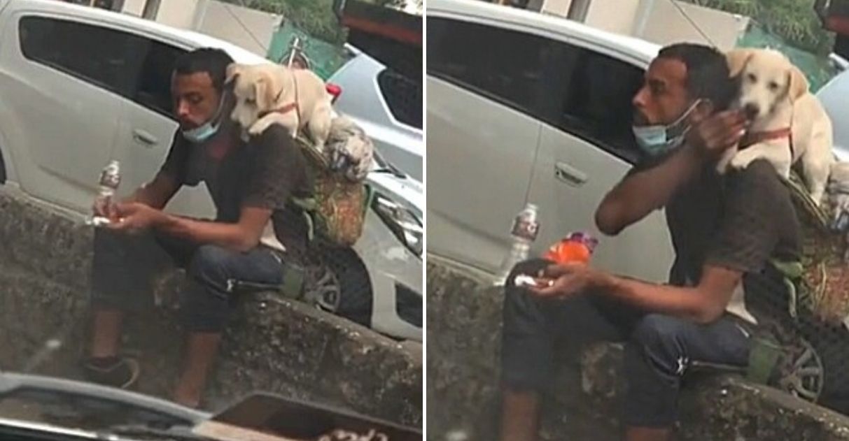 Ambulante divide o pouco alimento que tem com seu cãozinho e comove web [VIDEO]
