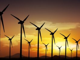Nordeste bate recorde de geração de energia limpa, com grande destaque para energia eólica e solar