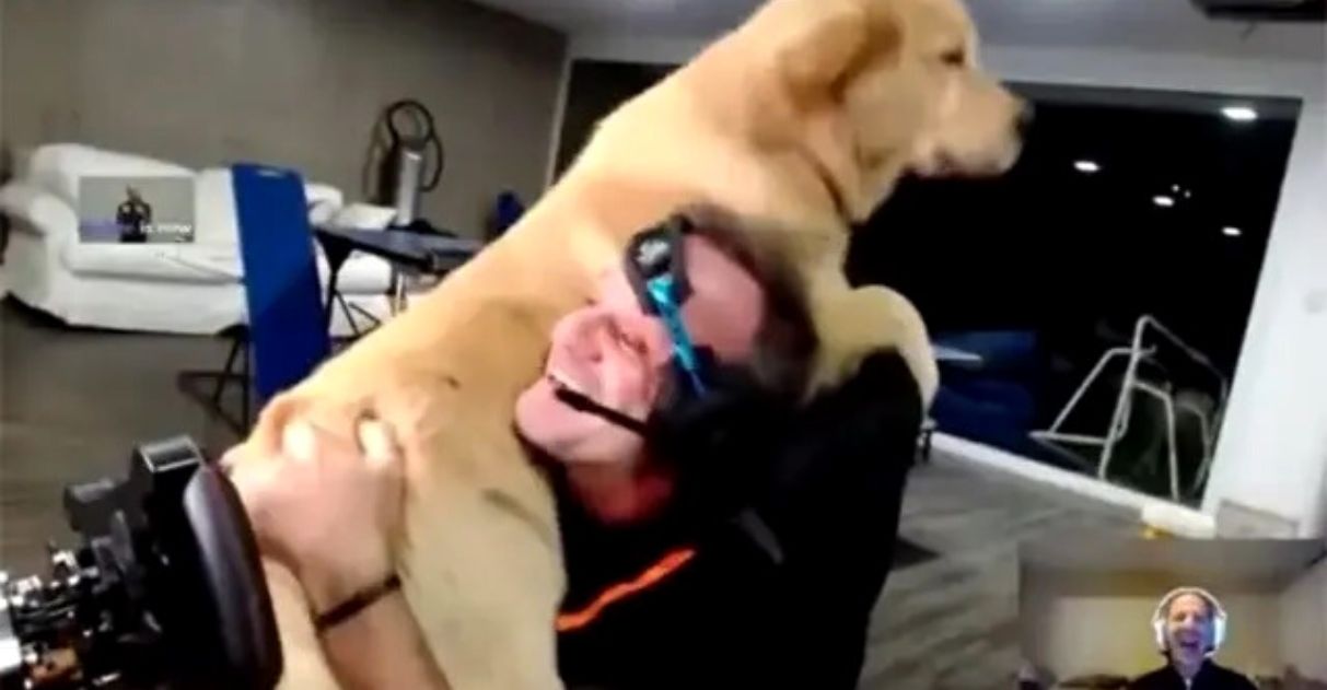 Cão de Rubinho Barrichello invade live e surpreende piloto com 'ataque de fofura' [VIDEO]