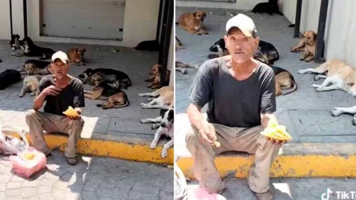 idoso em situação de rua alimenta cachorros com a própria comida