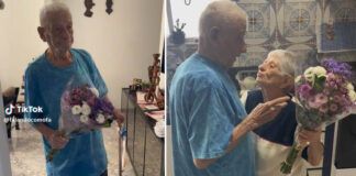 vovô entrega buquê de flores para sua esposa no seu aniversário de 90 anos