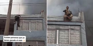 homem escala prédio em chamas e resgata cachorros presos