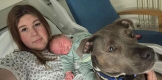 mulher deitada em leito de hospital com bebê recém-nascido e sua cadela